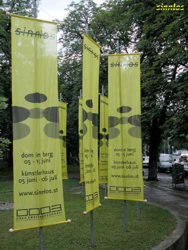 sinnlos exhibition - flags2.jpg
click to enlarge