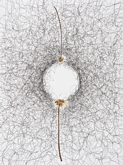 herbarium